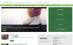 Gemeinde-Webseite: modernes Design – übersichtliche Informationen