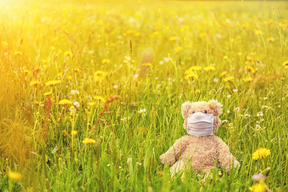Teddy Bär mit Maske in gelber Blumenwiese