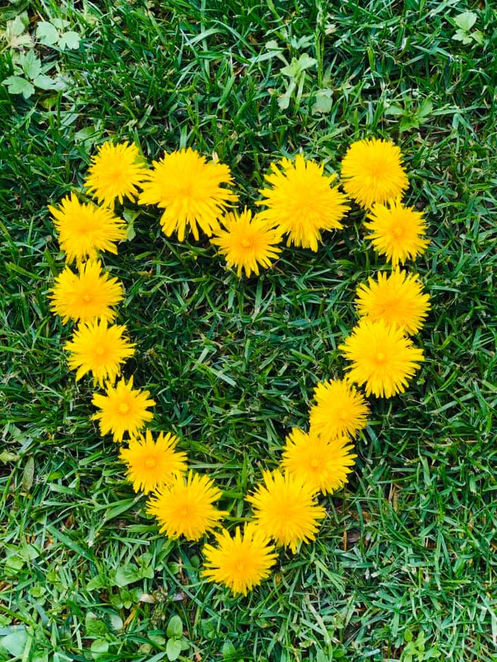 gelbes Herz aus Blumen